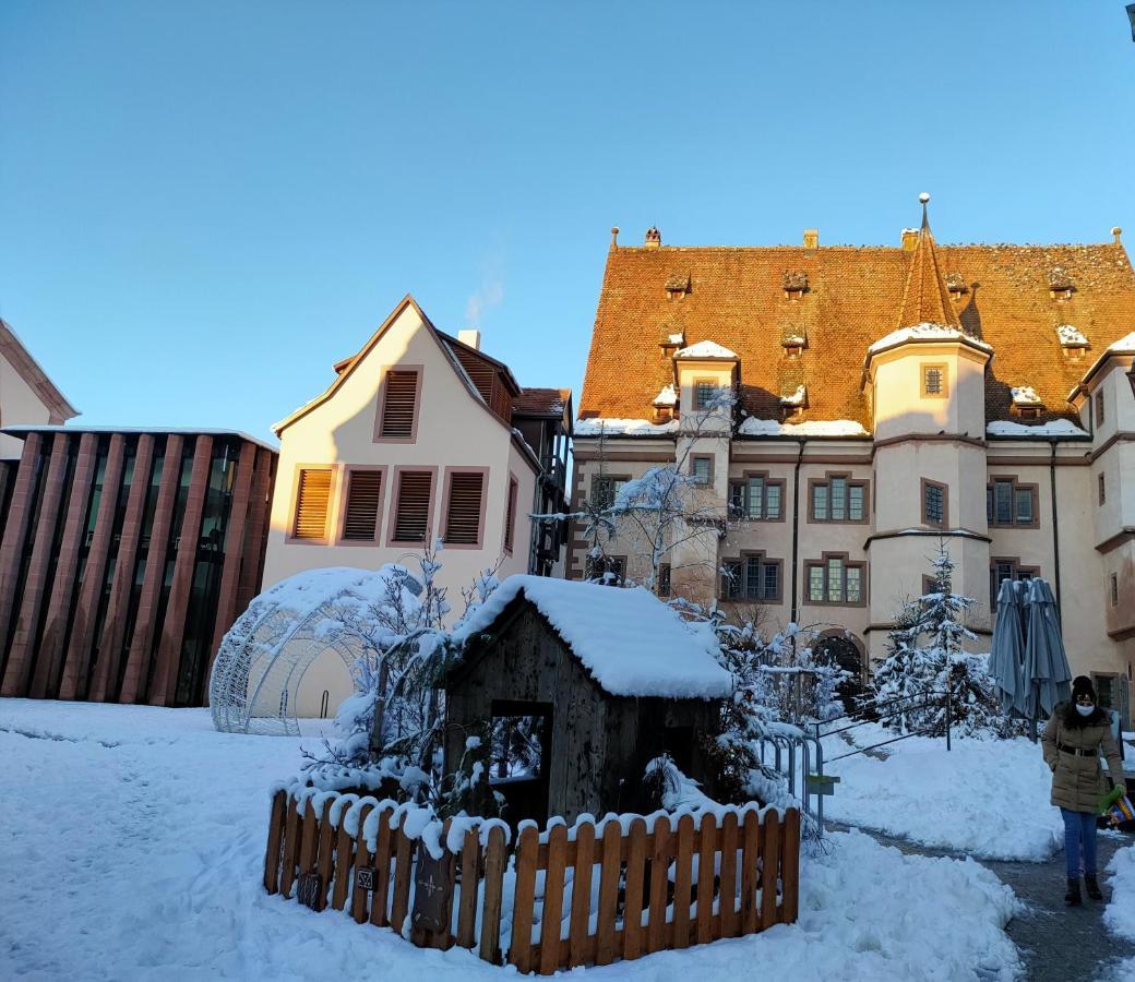 LA MAISON BLEUE, à 20 mn de Strasbourg, sur la route des vins, jusqu'à 6 personnes, Sélestat Exterior foto