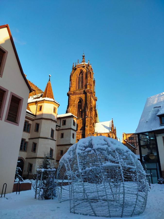 LA MAISON BLEUE, à 20 mn de Strasbourg, sur la route des vins, jusqu'à 6 personnes, Sélestat Exterior foto