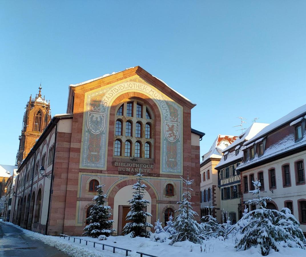 LA MAISON BLEUE, à 20 mn de Strasbourg, sur la route des vins, jusqu'à 6 personnes, Sélestat Exterior foto